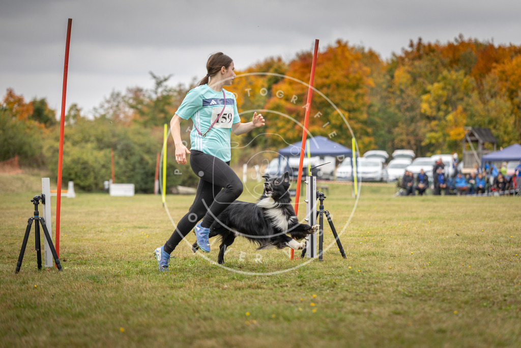 Pfotenfotografie_DV3A5114 | Hundefotografie, Tierfotograf, Pfotenfotografie, Fotoshooting Hund, Hunde Portrait, Hundesport, Hundeportraits, Heideshooting, Hunde, Sportfotograf, Hundefotograf, Turnierhundsport, THS,  - Realisiert mit Pictrs.com