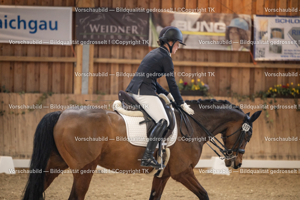 _D5A9150 | Emotionale Pferde- & People-Fotografie rund um Heidelberg, Leimen & Umgebung. Natürliche Fotos von Pferd, Mensch & Familie. Jetzt Termin sichern!