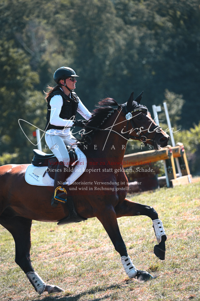 DSC_8309 | Pferde- und Turnierfotografie in Westsachsen. Pferdeportraits, Auftragszeichnungen und intuitive Kunst.