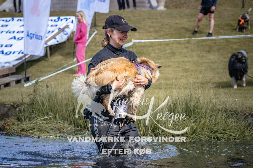 _ZZ929830935 | kk-dogfotos
