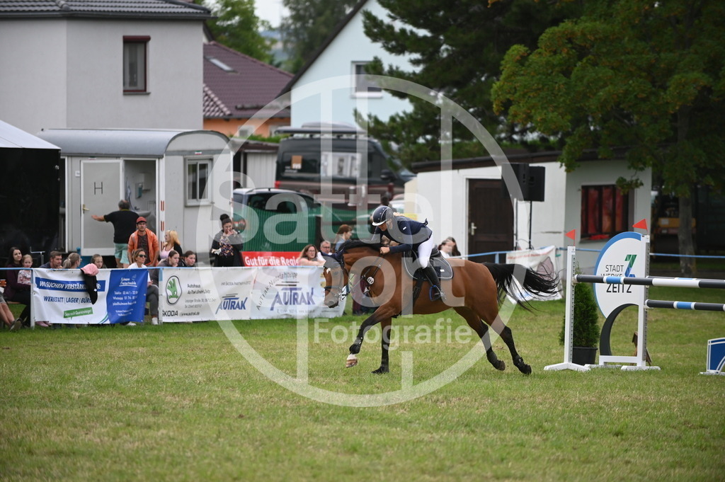 DSC_3788 | sattelsport - Realisiert mit Pictrs.com