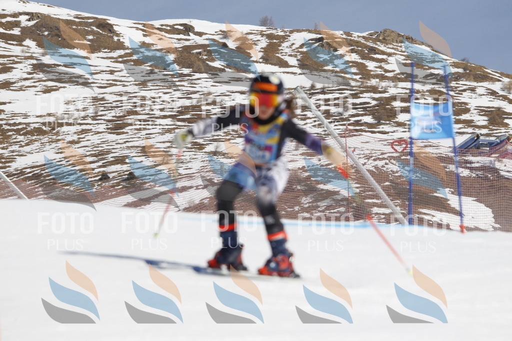 _U3G0375 | holidayphoto