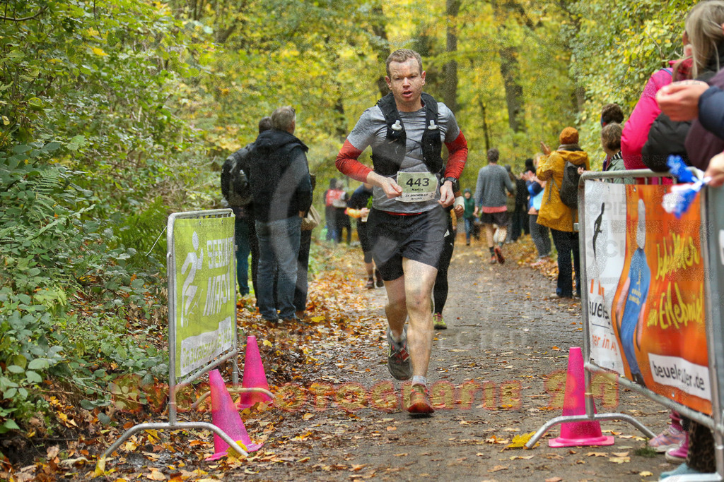 251026_1308_EX1_2630 | Sportfotografie im Rhein-Sieg Kreis, Köln, Bonn, NRW, Rheinland Pfalz, Hessen, etc. Unser Tätigkeitsfeld umfasst den Laufsport vom Volkslauf über den Marathon, Duathlon, Triathon bis zum Ultralauf wie Kölnpfad Ultra oder Schindertrail.