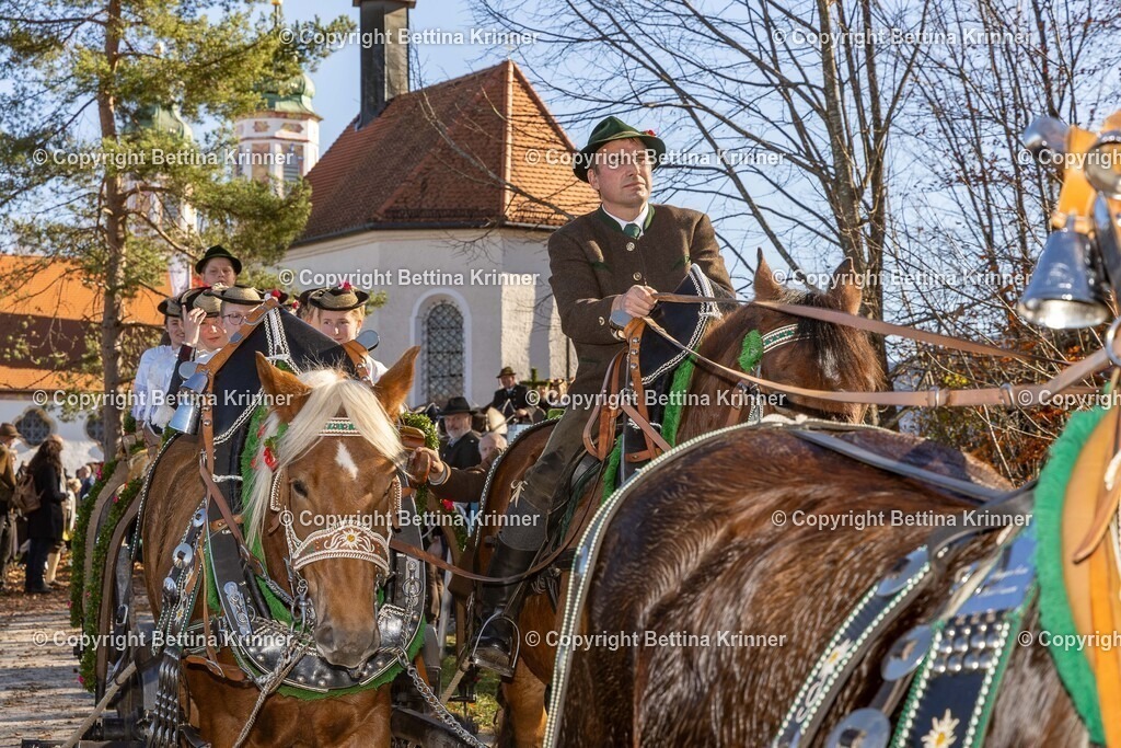 LBT25-1241 | foto-bettina-krinner - Realisiert mit Pictrs.com