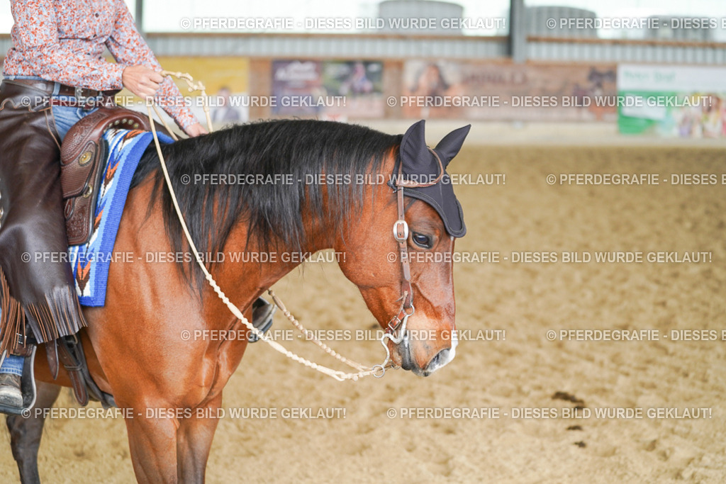 DSC01082 | Pferdegrafie