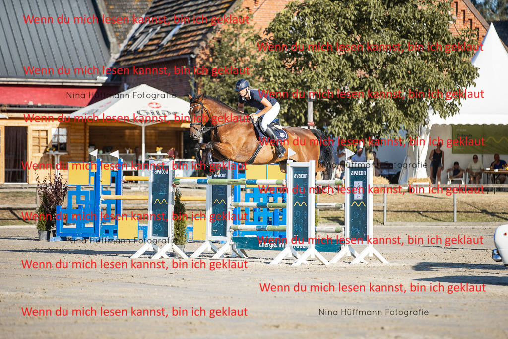 BK1A8772 | Turnierbilder Turnierfotos Nina Hüffmann Turnierfotografie Pferdefotografie Tierzeichnung Haustierzeichnung Pferdezeichnung Hundezeichnung Videograf  - Realisiert mit Pictrs.com