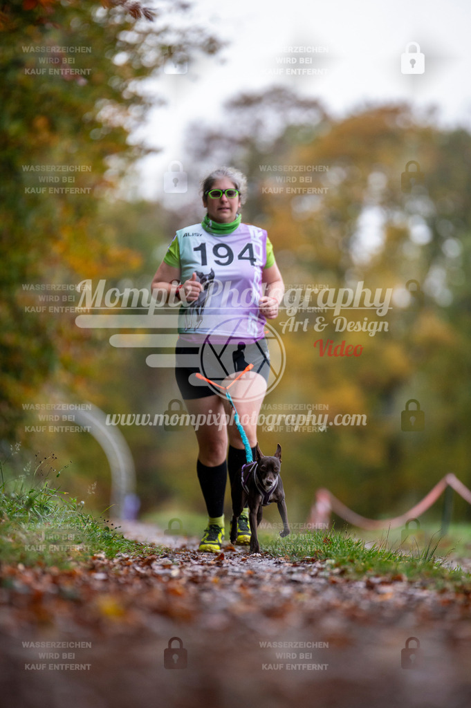 DBT_DAKM_SA_4_11_2023_Canicross-34 | PayLife