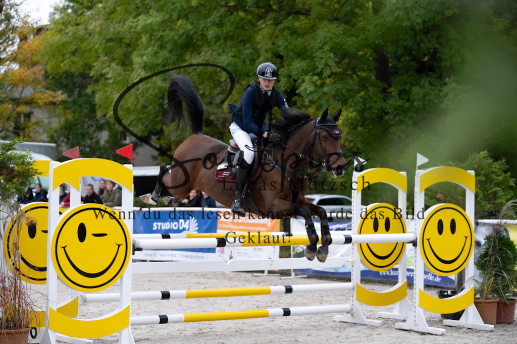 A7V08555 | Pferdefotograf