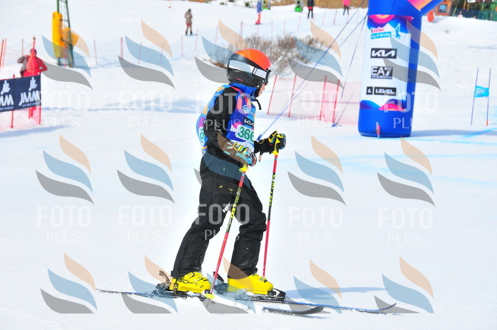 DSC_3284 | holidayphoto