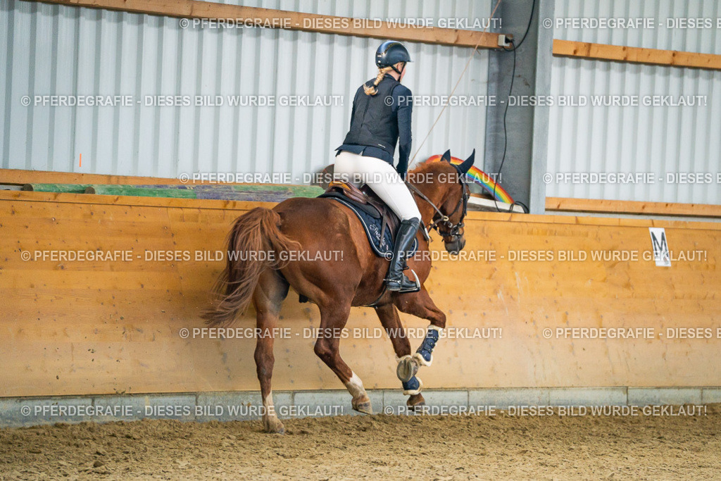 DSC00796 | Pferdegrafie