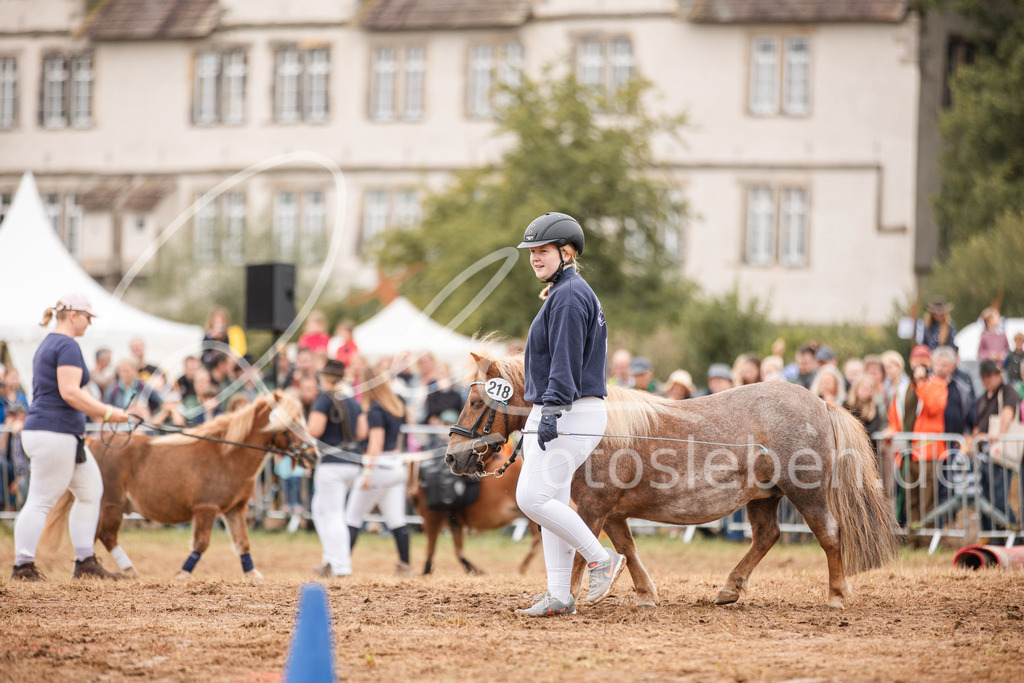 846A3729 | fotosleben - Realisiert mit Pictrs.com
