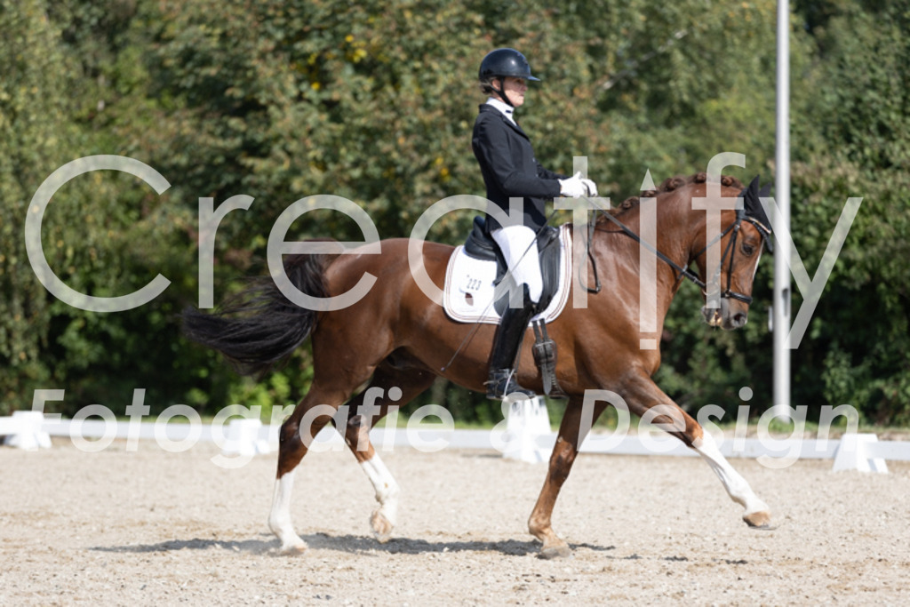 IMG_3705 | Creatify Fotografie