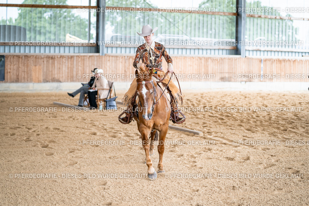 DSC07828 | Pferdegrafie