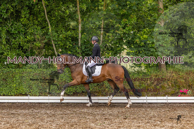 RPF 4 Filsum (229 von 535) | mandyhollmannphotographie