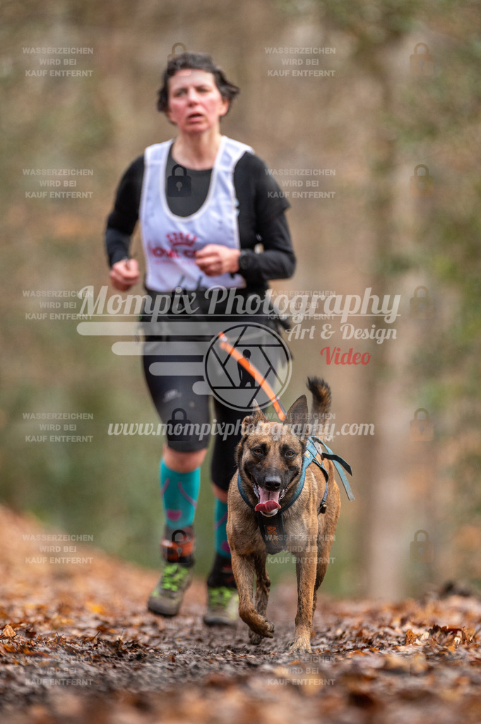 SPA_2023_DIM_CCL-134 | PayLife