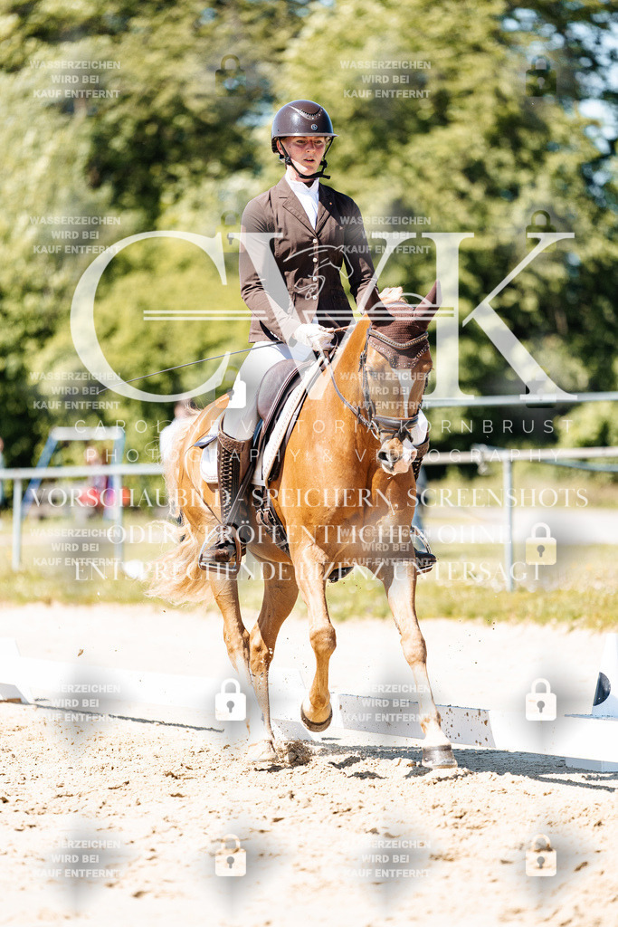 CK905567 | Turnierfotografie Pferdefotografie Trier Rheinland-Pfalz Pferdesport Reitsport Tierfotografie Sportfotografie Pferdevideo Pferdevideografie Equestrianvideography equestrianphotography  - Realisiert mit Pictrs.com