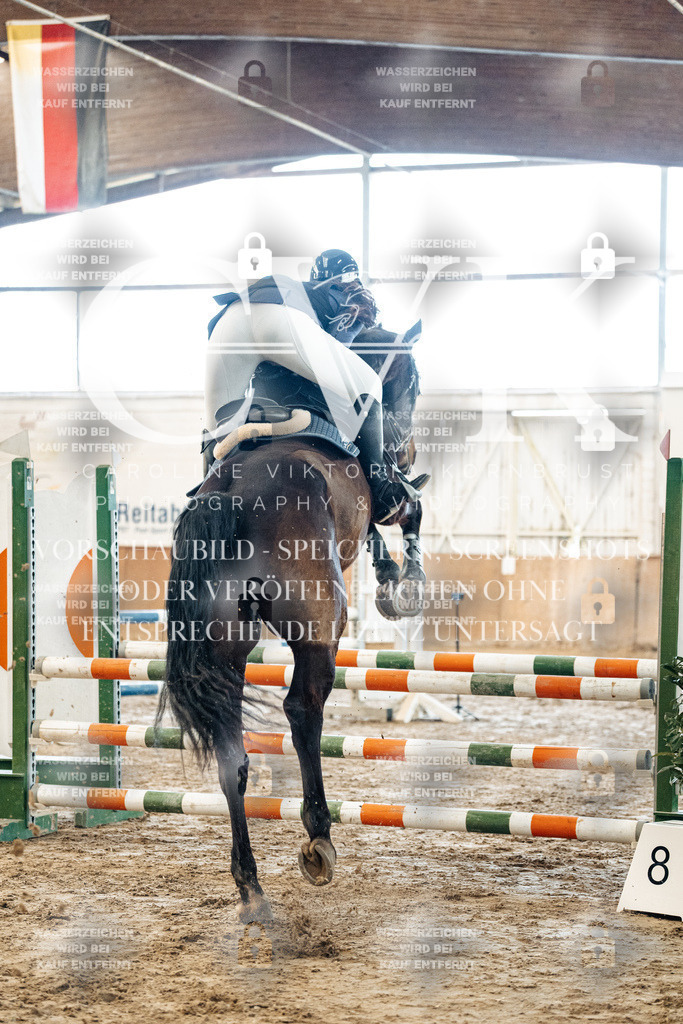 CK904276 | Turnierfotografie Pferdefotografie Trier Rheinland-Pfalz Pferdesport Reitsport Tierfotografie Sportfotografie Pferdevideo Pferdevideografie Equestrianvideography equestrianphotography  - Realisiert mit Pictrs.com