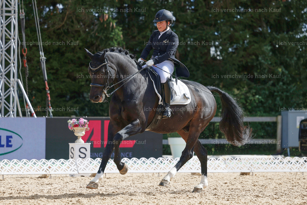 09_2-183-DRESSUR  S_  -StoibPH-5910 | working equitationturnier fotograf videograf stoibphotography marixx film working equitation deutschland reitsport turnierfotografie eventfotografie equestrian events