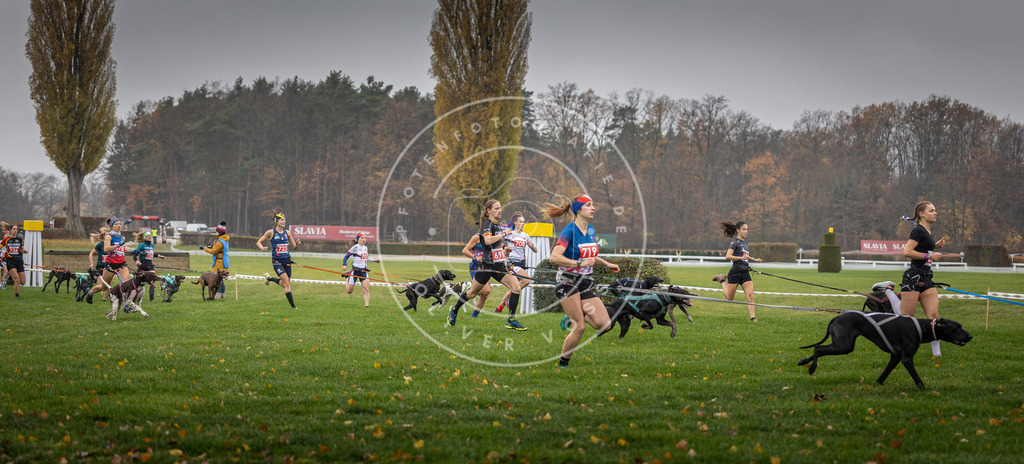 CaniXpix_DV3A8760 | Hundefotografie, Tierfotograf, Pfotenfotografie, Fotoshooting Hund, Hunde Portrait, Hundesport, Hundeportraits, Heideshooting, Hunde, Sportfotograf, Hundefotograf, Turnierhundsport, THS,  - Realisiert mit Pictrs.com