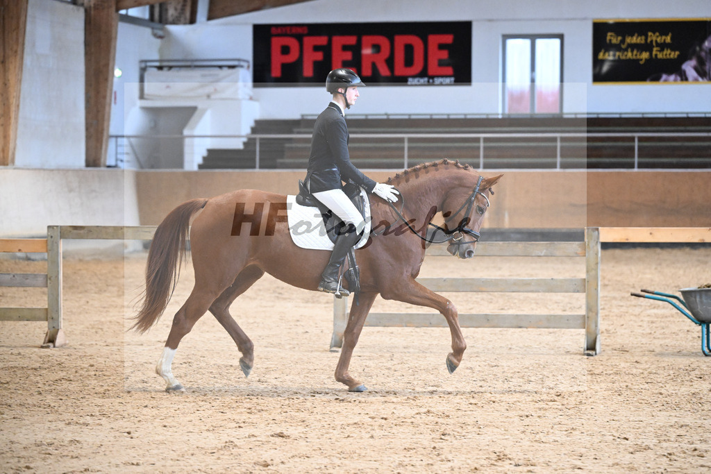 Kat-Nr. 10 Weissenas Valentina v. Va Bene_Eder_50250360 | hf-fotografie - Realisiert mit Pictrs.com