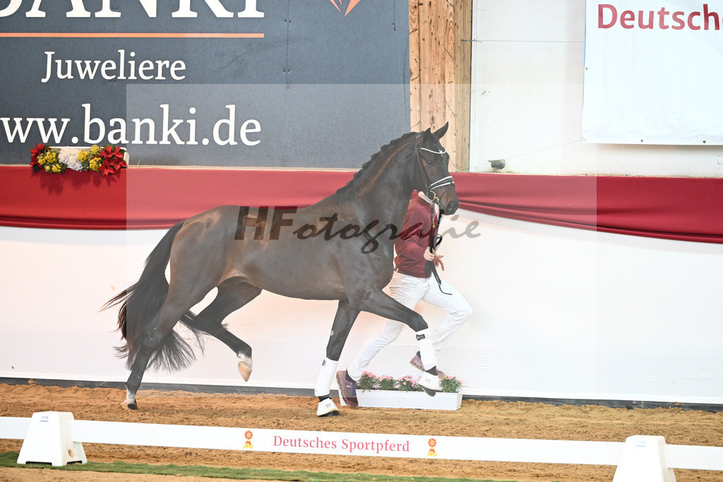 Kat-Nr. 51 Va Bene x Dante Weltino_Bergmann_43230693 | hf-fotografie - Realisiert mit Pictrs.com