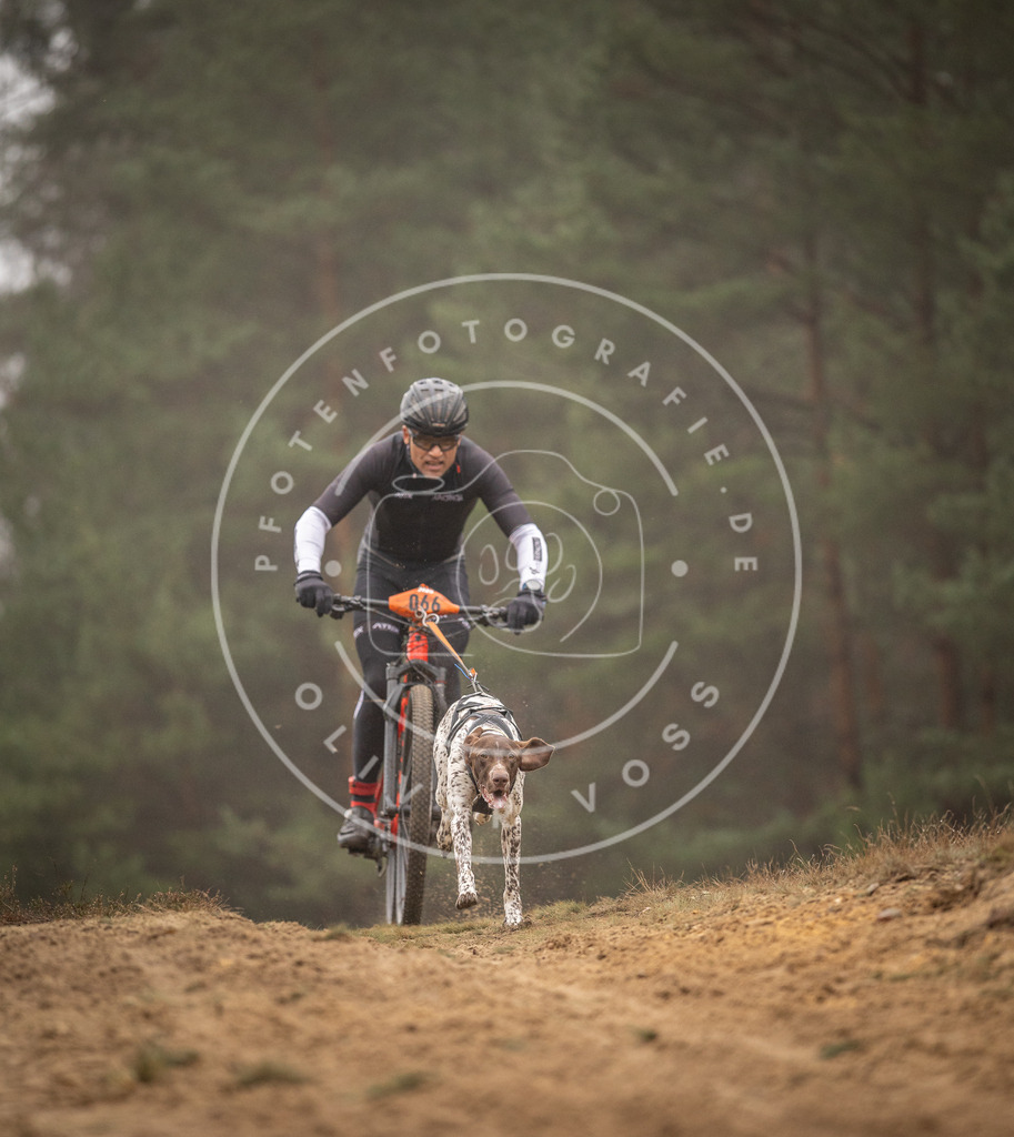 Pfotenfotografie_DV3A2488 | Hundefotografie, Tierfotograf, Pfotenfotografie, Fotoshooting Hund, Hunde Portrait, Hundesport, Hundeportraits, Heideshooting, Hunde, Sportfotograf, Hundefotograf, Turnierhundsport, THS,  - Realisiert mit Pictrs.com