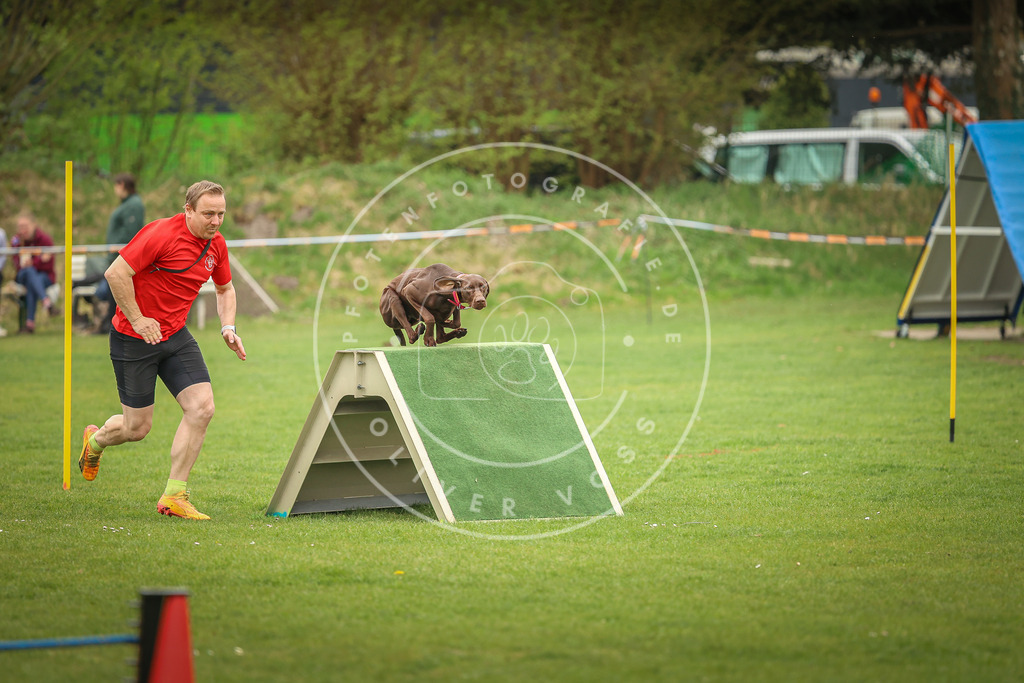 Pfotenfotografie_0L8A1926 | Hundefotografie, Tierfotograf, Pfotenfotografie, Fotoshooting Hund, Hunde Portrait, Hundesport, Hundeportraits, Heideshooting, Hunde, Sportfotograf, Hundefotograf, Turnierhundsport, THS,  - Realisiert mit Pictrs.com