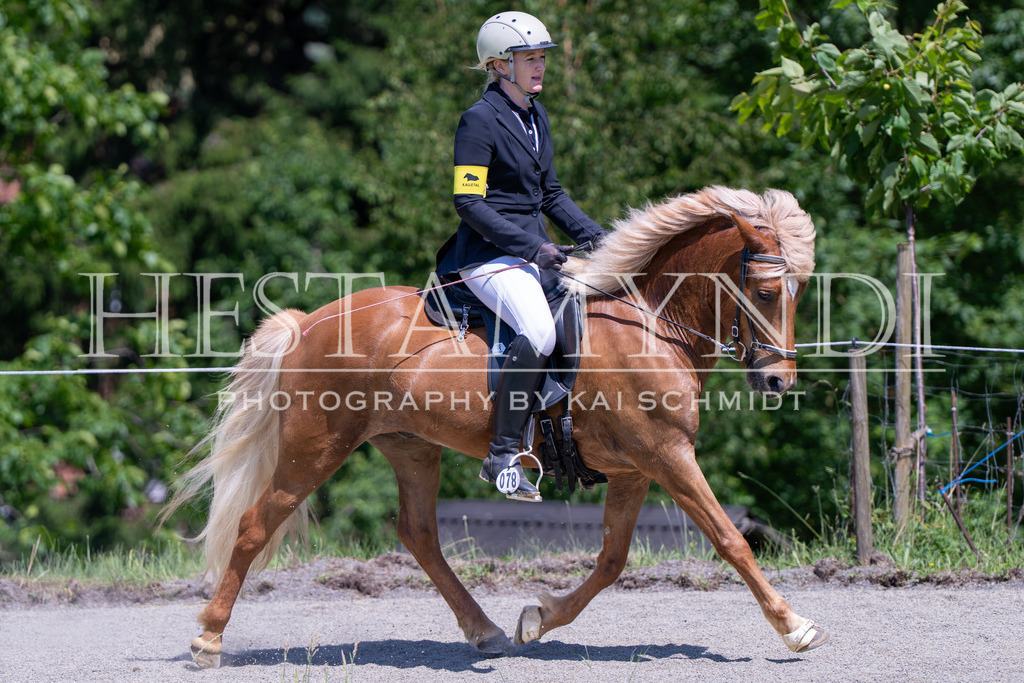 KAI03488 | Ihr sucht einen Fotografen für eure nächste OSI? Ich begleite auch euer Turnier für Islandpferde fotografisch.  - Realisiert mit Pictrs.com
