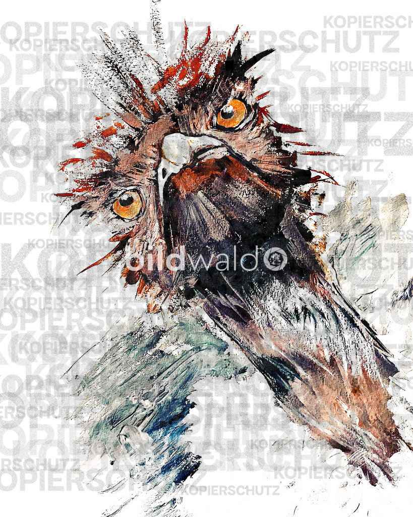 Caren-2_00x | BILDWALD - eine Auswahl an Bildern von Thomas Perrotton zum bestellen und genießen. Alle Bilder von Thomas Perrotton - Alle Bilder mit einer SONY Kamera gemacht - SONY TAMRON SIGMA PHOTOSHOP LIGHTROOM BILDWALD Online kaufen Bilderwald Wandbilder - Realisiert mit Pictrs.com