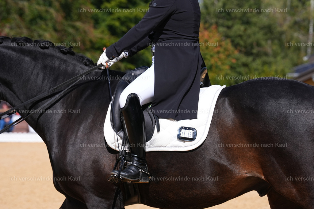 09_2-183-DRESSUR  S_  -Marixx-5994 | working equitationturnier fotograf videograf stoibphotography marixx film working equitation deutschland reitsport turnierfotografie eventfotografie equestrian events