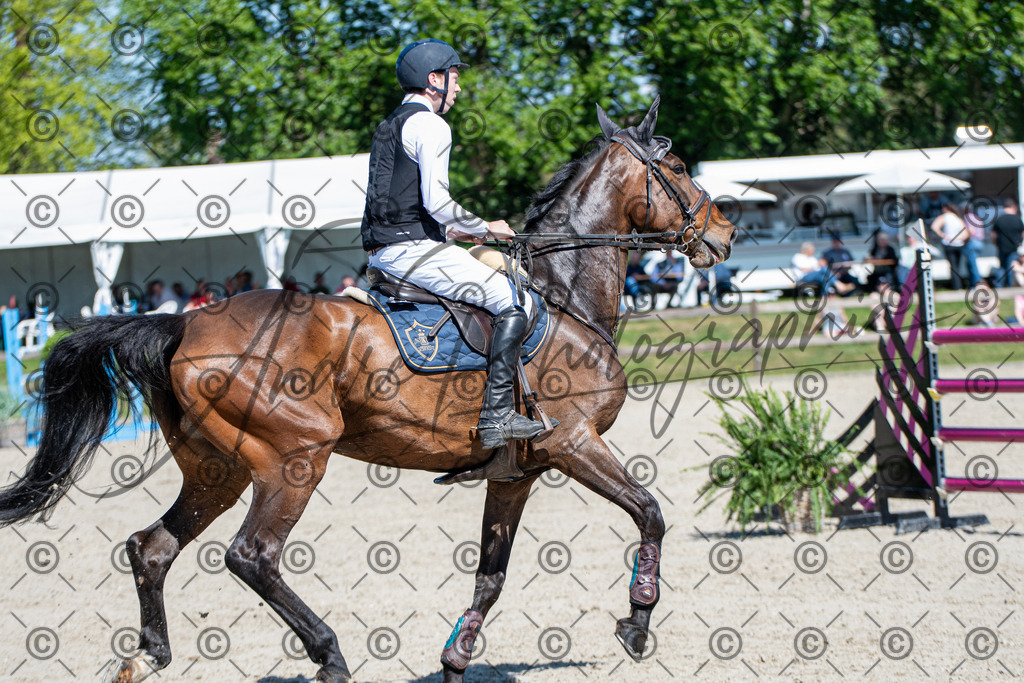 KPT_1142 | andre_photographic