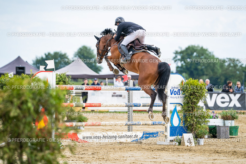 DSC07223 | Pferdegrafie