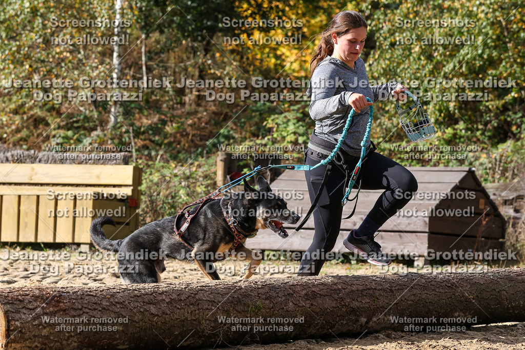 Dog Paparazzi - Strongdog 10-25-5116 | Dog Paparazzi Jeanette Grottendiek Fotografie & Videografie - Realisiert mit Pictrs.com