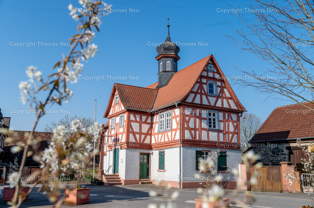 DSC_2964 | Bensheim, Stadtteil Fehlheim, historisches Rathaus, , Bild: Thomas Neu