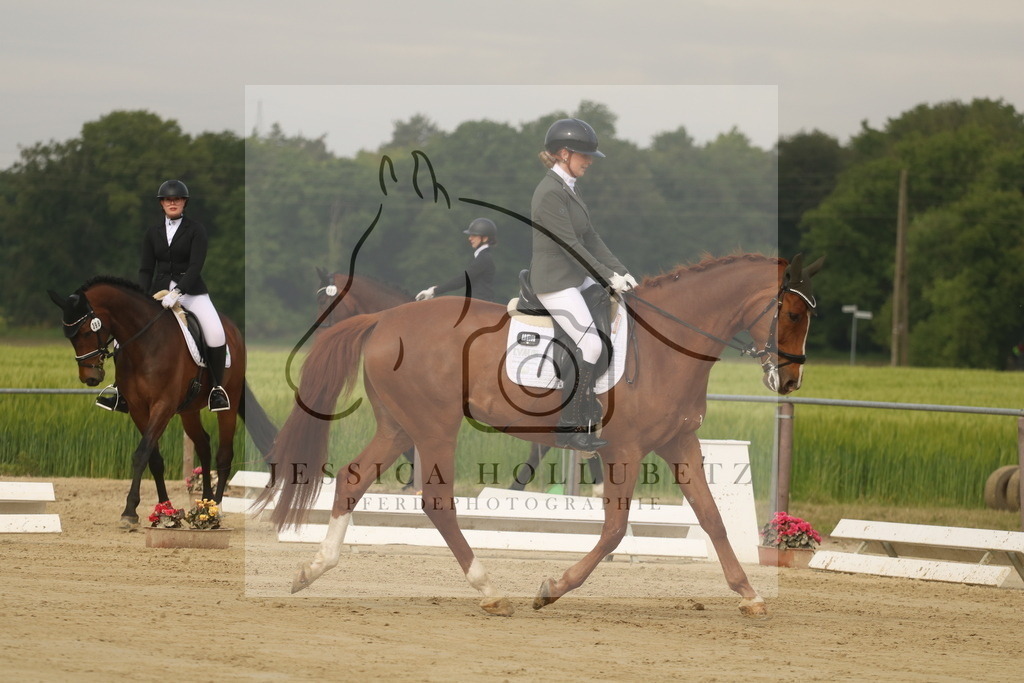 IMG_6017 | jessicahollubetz_pferdephotographie - Realisiert mit Pictrs.com