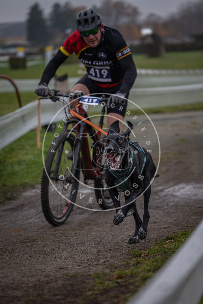 CaniXpix_0L8A1600 | Hundefotografie, Tierfotograf, Pfotenfotografie, Fotoshooting Hund, Hunde Portrait, Hundesport, Hundeportraits, Heideshooting, Hunde, Sportfotograf, Hundefotograf, Turnierhundsport, THS,  - Realisiert mit Pictrs.com