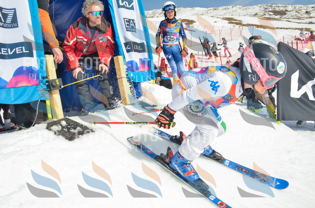 _ELE5432 | holidayphoto