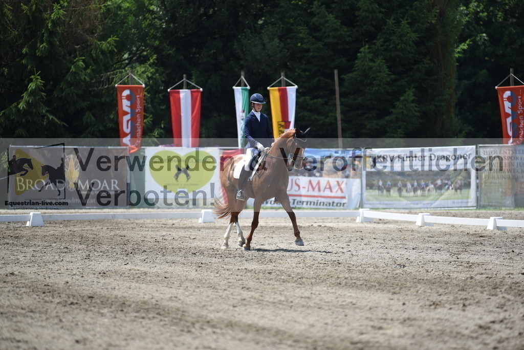 DSC_0587 | equestrian-live-com