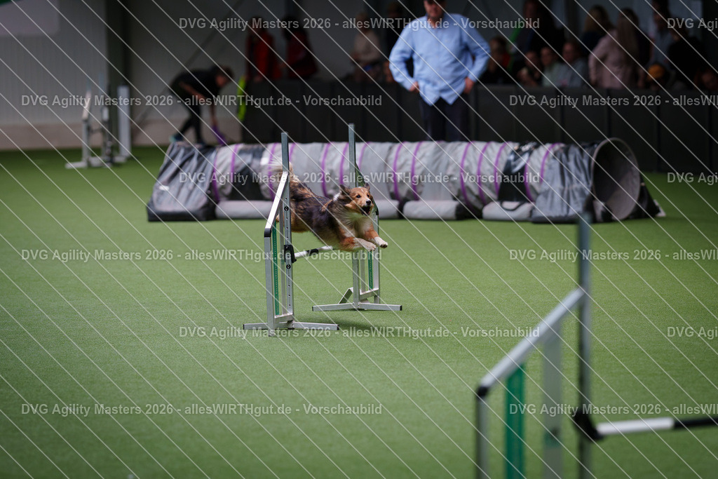 allesWIRTHgut_Tierfotografie-DVG_Agility_Masters_2026-11_08-7R504936 | Professionelle Tierfotografie in Mönchengladbach von Daniel Wirth (allesWIRTHgut). Liebevolle & natürliche Bilder von Hunden & Katzen für unvergessliche Erinnerungen.