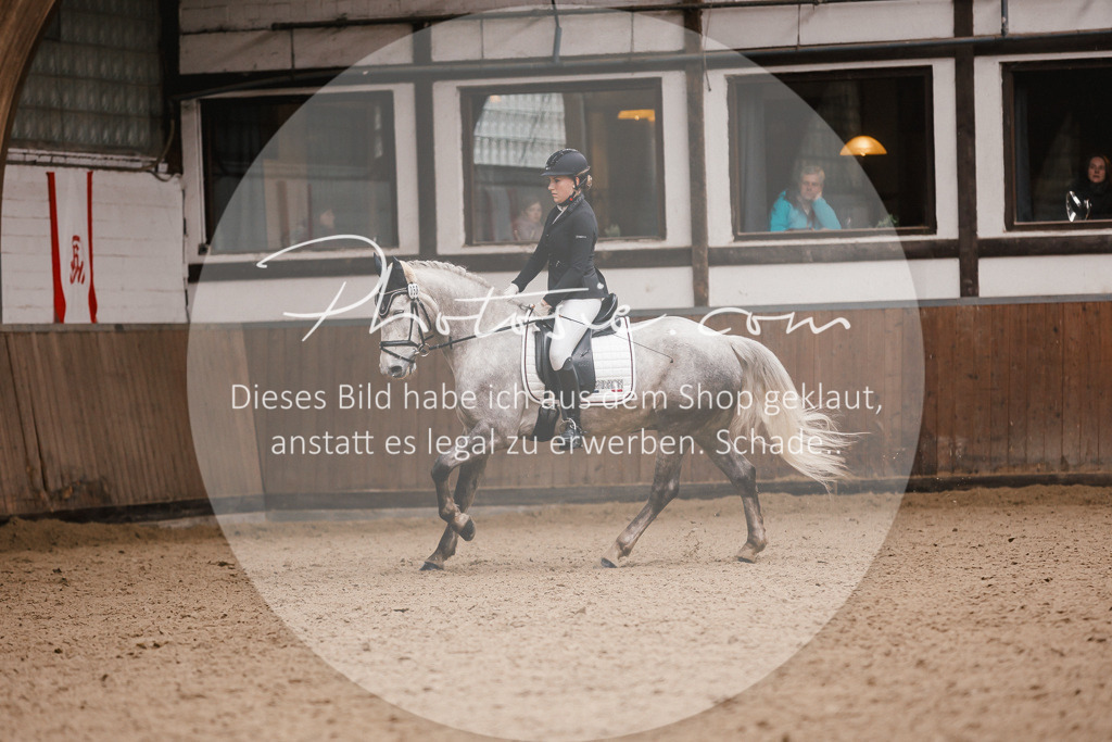 3I6A7444 | Stimmungsvolle Portraits und Reitsportfotografie im Ruhrgebiet und im Münsterland.

Pferdefotografie, Hundefotografie, Tierfotografie, Reportagen, Portraits von Tier und Mensch, Turnierfotografie in Bochum, Recklinghausen, Marl, Haltern am See, Dülmen.. - Realisiert mit Pictrs.com