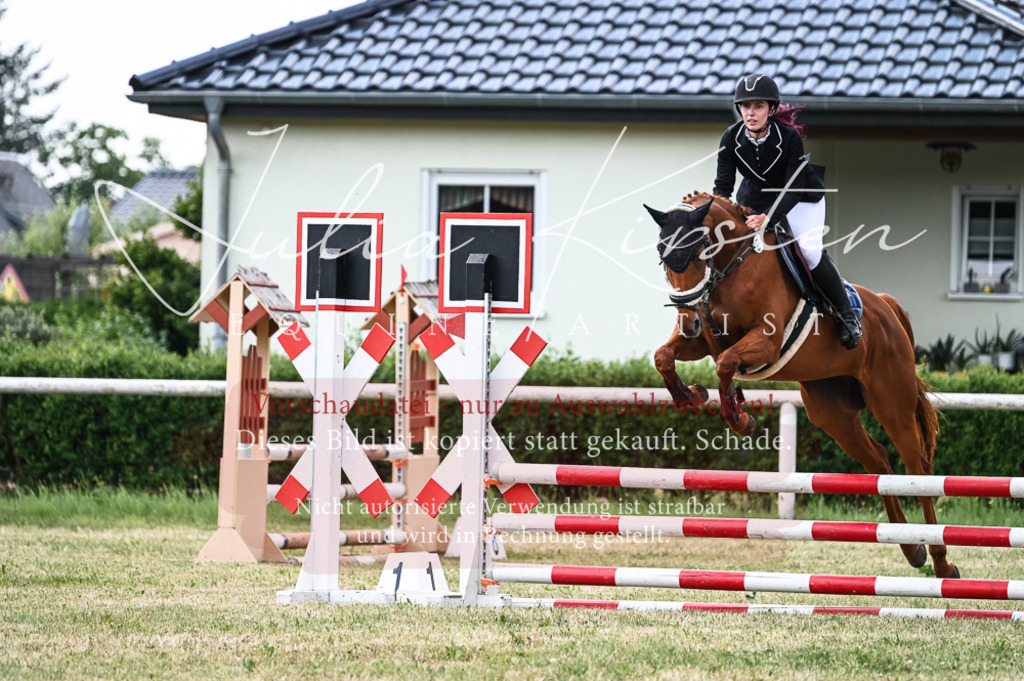 DSC_9082 | Pferde- und Turnierfotografie in Westsachsen. Pferdeportraits, Auftragszeichnungen und intuitive Kunst.