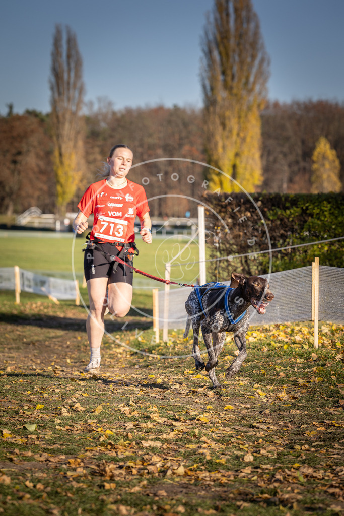 CaniXpix_DV3A1700 | Hundefotografie, Tierfotograf, Pfotenfotografie, Fotoshooting Hund, Hunde Portrait, Hundesport, Hundeportraits, Heideshooting, Hunde, Sportfotograf, Hundefotograf, Turnierhundsport, THS,  - Realisiert mit Pictrs.com