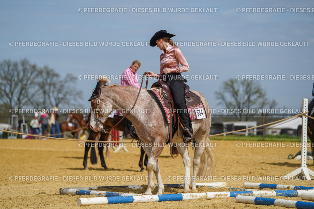 DSC04096 | Pferdegrafie