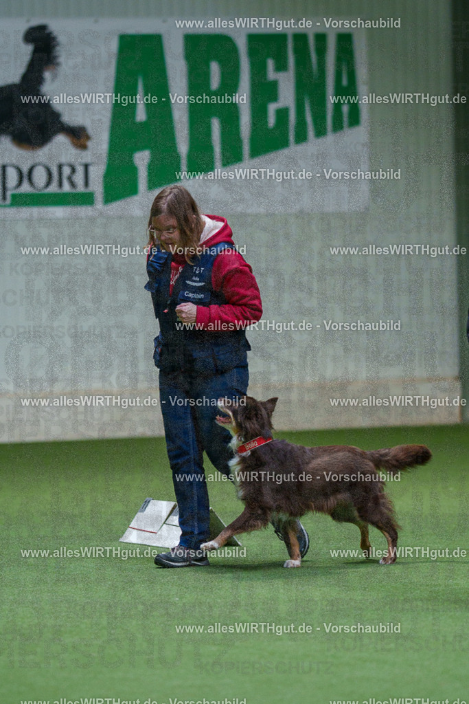 7R506161 | Professionelle Tierfotografie in Mönchengladbach von Daniel Wirth (allesWIRTHgut). Liebevolle & natürliche Bilder von Hunden & Katzen für unvergessliche Erinnerungen.