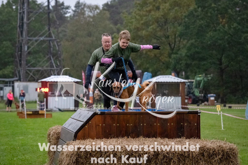 0817-_ZZ90916-Bearbeitet-Bearbeitet | kk-dogfotos