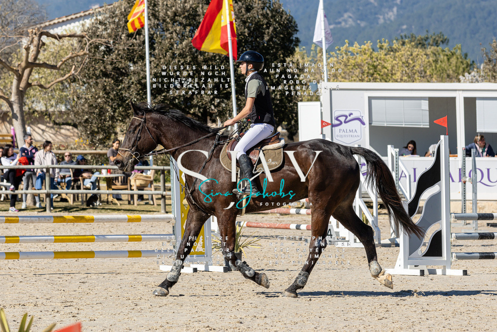 IMG_8998 | s-jay-photography - Realisiert mit Pictrs.com