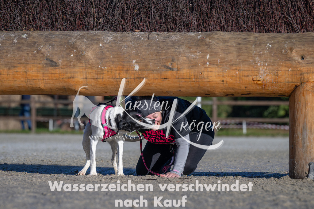 1038-_ZZ91911 | kk-dogfotos