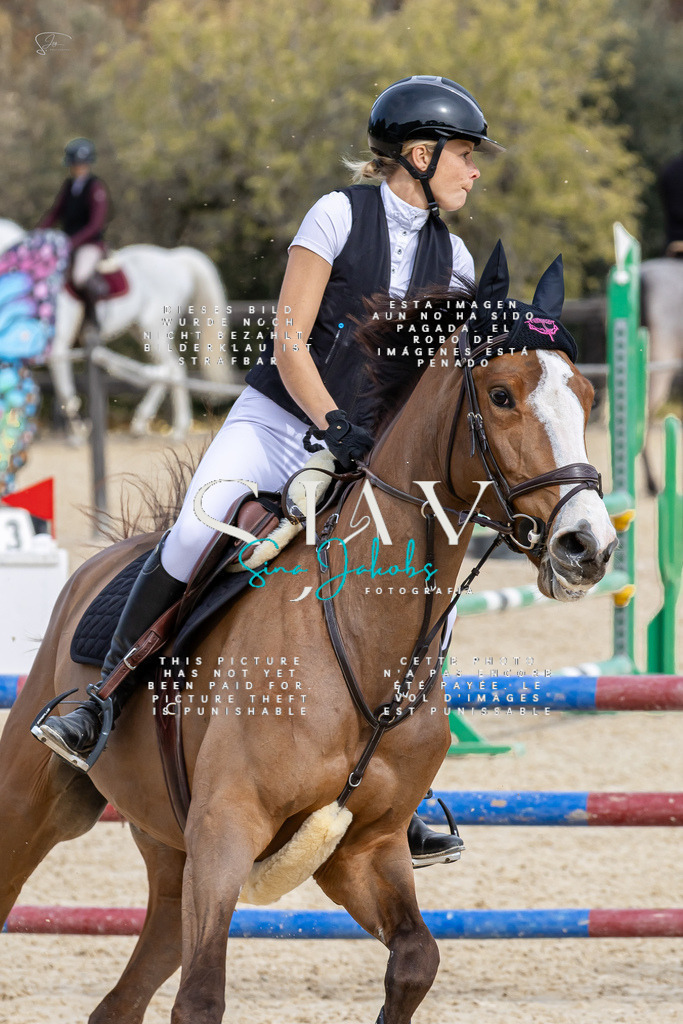 IMG_3644 | s-jay-photography - Realisiert mit Pictrs.com