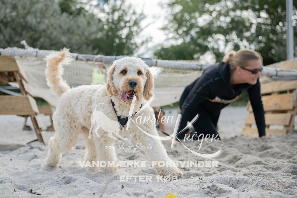 1330_ZZ97261 | kk-dogfotos