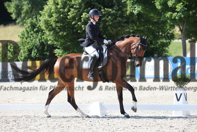 Weilheim_2025_Prfg.Nr.24_Reitpferdeprüfung_Carolin Heckenberger_Velyns Belvina B (7) | Alle Fotos der Reiterjournal Fotografin Doris Matthaes im Reiterjournal Online-Fotoshop. - Realisiert mit Pictrs.com